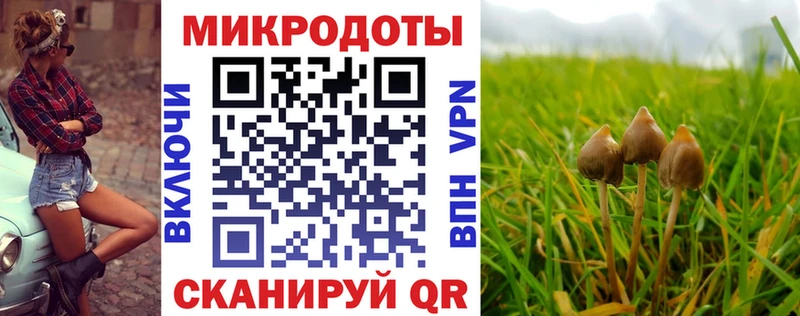 цена Барыш Галлюциногенные грибы прущие грибы